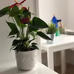 Recien Reformado, Centrico, Tranquilo Y Luminoso *