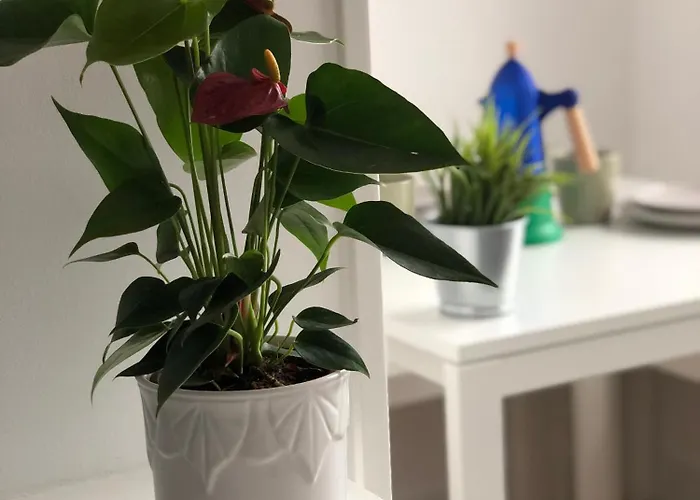 Recien Reformado, Centrico, Tranquilo Y Luminoso *